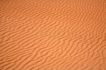 Fototapeta na wymiar Detailed view of the texture and pattern of a sand dune - Newburgh - Aberdeenshire - Scotland - UK
