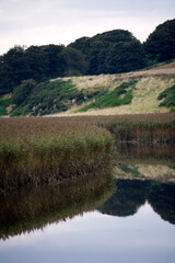 Reflection of reeds and banks of the Ythan river - Kirkton of Logie Buchan - between Ellon and Newburgh - Aberdeenshire - Scotland - UK