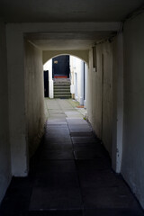 Fototapeta premium Close - Montrose - Angus - Scotland - UK