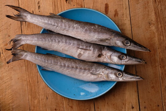 Barracuda fish in a blue ceramic plate on a wooden table. Barracuda are fish in the class Actinopterygii. ikan barakuda. ikan cucut.