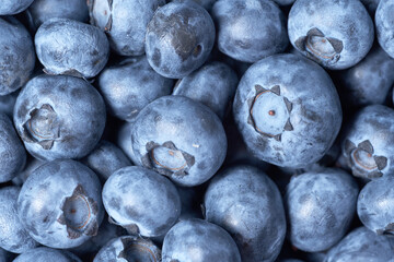 garden blueberry berries macro