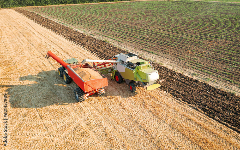 Aufkleber combine harvester in action on wheat field.