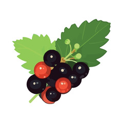 Ripe berry fruit on fresh green branch
