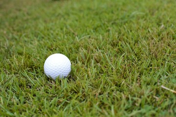 golf ball on grass field