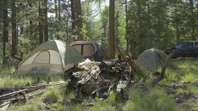 Campsite in the forest 3 tents