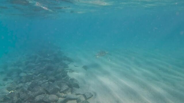 Lagon de Mayotte, &Icirc;lot Mtsamboro
