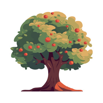 growth nature fruit tree illustration