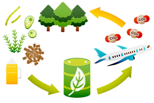 SAF-持続可能な航空燃料、ジェット機と二酸化炭素、植物・木材・食油を矢印で結んだ、脱炭素時代のクリーンエネルギーのイメージ(主線・背景なし)
