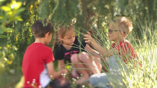 Children were playing under a green tree. Funny children stuttering while sitting on the grass. Soft selective focus
