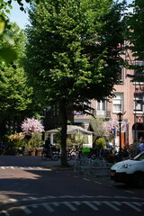 Fototapeta premium A picture clicked in Amsterdam