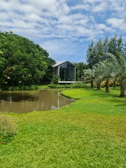 house on the lake with green grass,tree,palm