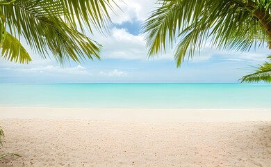 Fototapeta na wymiar 椰子の葉の間から見えるビーチ