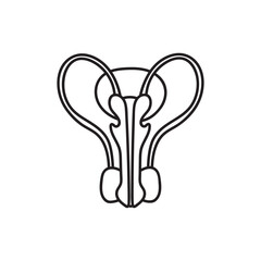 Hand drawn Kids drawing Cartoon Vector illustration male reproductive system icon Isolated on White Background