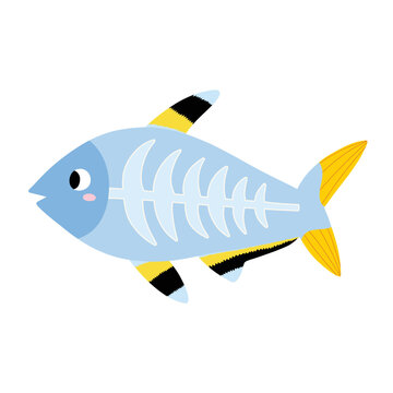 recommend clip art: Cute x-ray fish in cartoon style. Funny sea animal character for kids. Vector illustration