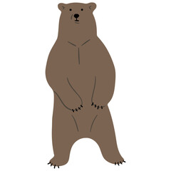 Grizzly Bear Single 22, vector illutration