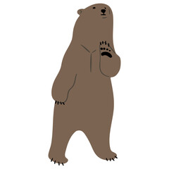 Grizzly Bear Single 15, vector illutration