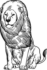 Vintage hand drawn sketch of sit pride lion