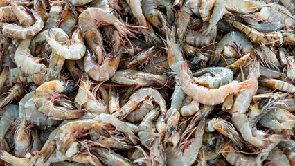 Fresh catch of shrimp on display for sale