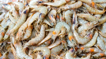 Fresh catch of Shrimp on display for sale