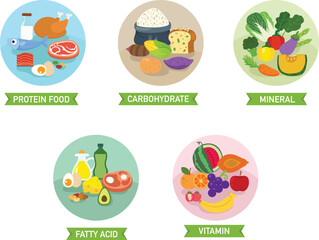 five food group vector illustration