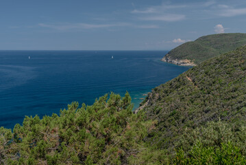 Fototapeta na wymiar Felsküste bei Piombino, Toskana , bei Sonneschein