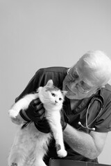 Elderly gray-haired veterinarian doctor in glasses and stethoscope holds a white cat in his hands against a light wall background, space for text, vertical format, black and white photo