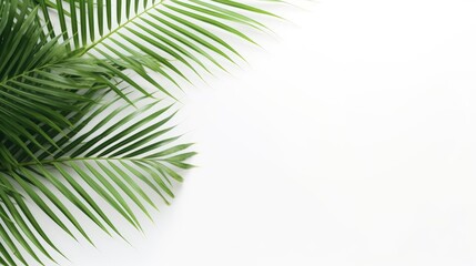 Fototapeta na wymiar Summer minimal background top view wide under palm leaf, AI generated Image