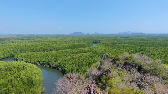 Landscape green nature of Ta Pe Canal with mangrove and lime stone mountain - unseen thailand from Horizon Views 360&deg;   ฺBan Nam Rap or Khao jom Pa in Trang Thailand - Travel outdoor adventure 
