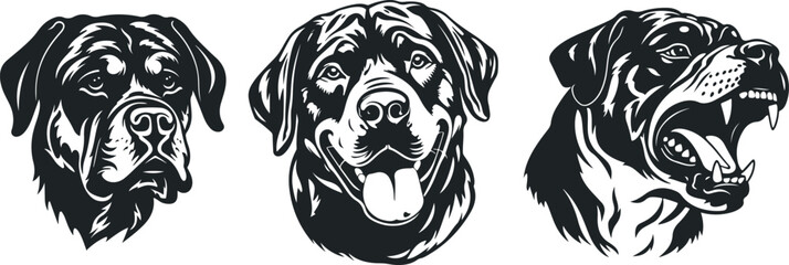 Rottweiler set of dog big head Vector isolated illustration in black color on white background. Aggressive Rottweiler dog breed pet. Ferocious Rottweiler
Angry dog - obrazy, fototapety, plakaty