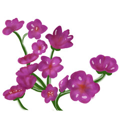 Pink or purple flowers for you