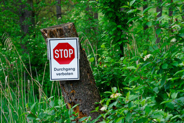 Trunk of a tree in the lawn, with grass in an urban area.
