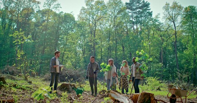 Non-governmental organization of young people using garden tools for restoring forest ecological situation. Charity work of non-professional workers to restore natural habitats.