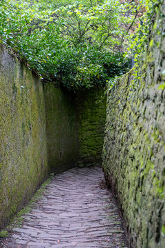 Germany, Philosopher Walk in Heidelberg city or Philosophenweg. Stone path, stonewall with lichen.