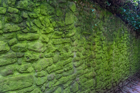 Stone path stonewall with lichen Philosopher Street, Germany, Philosopher Walk in Heidelberg