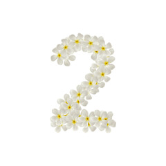 number 2 two made of flowers frangipani or plumeria isolated.