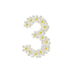 number 3 three made of flowers frangipani or plumeria isolated.