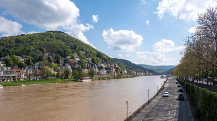 Fototapeta na wymiar Germany, view of Heidelberg traditional city build at Neckar riverside. Moored boat nature around.
