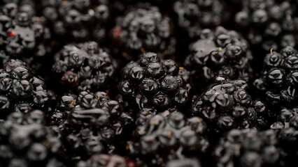 Blackberries close up. Fresh Ripe organic blackberries