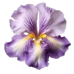 Tuinposter Iris flower. isolated object, transparent background © dataimasu