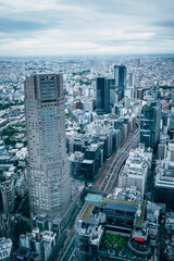 Tokyo Sky
