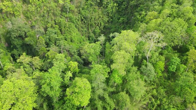 Aerial view of above emerald pool at lom poo kiew in Lampang Province, Thailand.