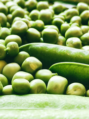 Harvest organic vegetables green peas.
