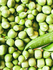 Harvest organic vegetables green peas.