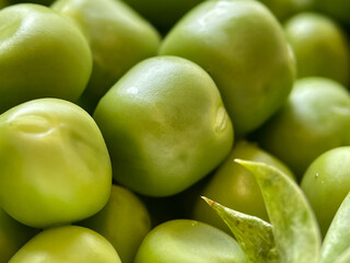 Harvest organic vegetables green peas.