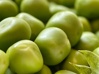 Harvest organic vegetables green peas.