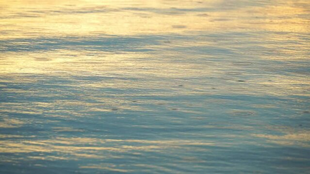 Rain drops falling in river ripple water at sunset. 