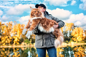 A woman holding in arms a huge maine coon cat in forest in fall.