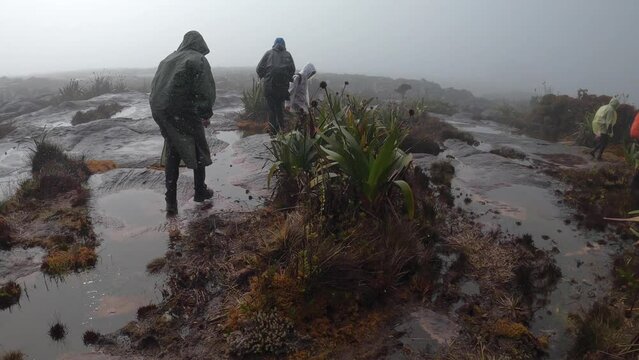 Group of hikers in raincoats walking on flat top area of Mount Roraima in gloomy rainy day, Canaima National Park, Venezuela