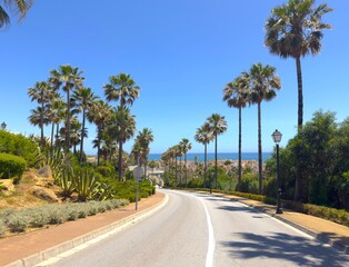 beautiful access road with an avenue of palm trees to the village of La Alcaidesa with the Mediterranean Sea beyond, Cádiz, Andalusia, Malaga, Spain