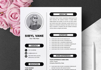 Classic Resume and Cover Letter Set